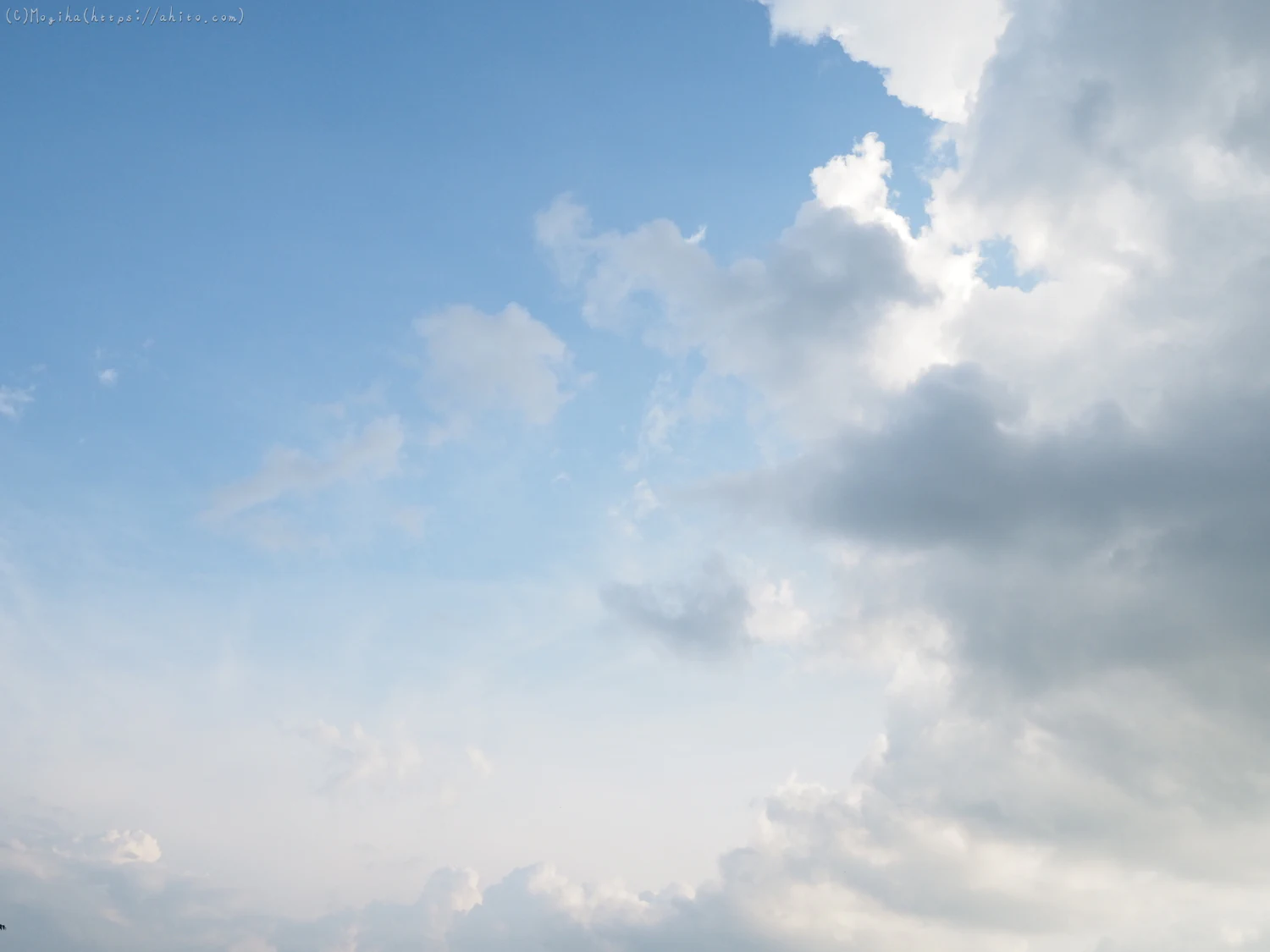 夏の空・１ - 11