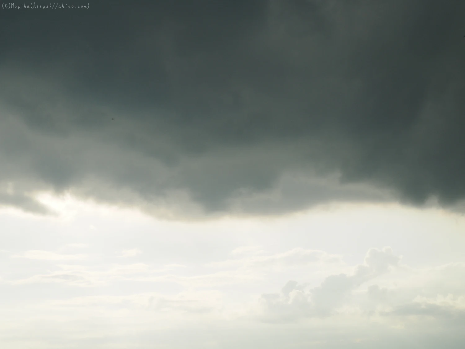 夏の空・１ - 20