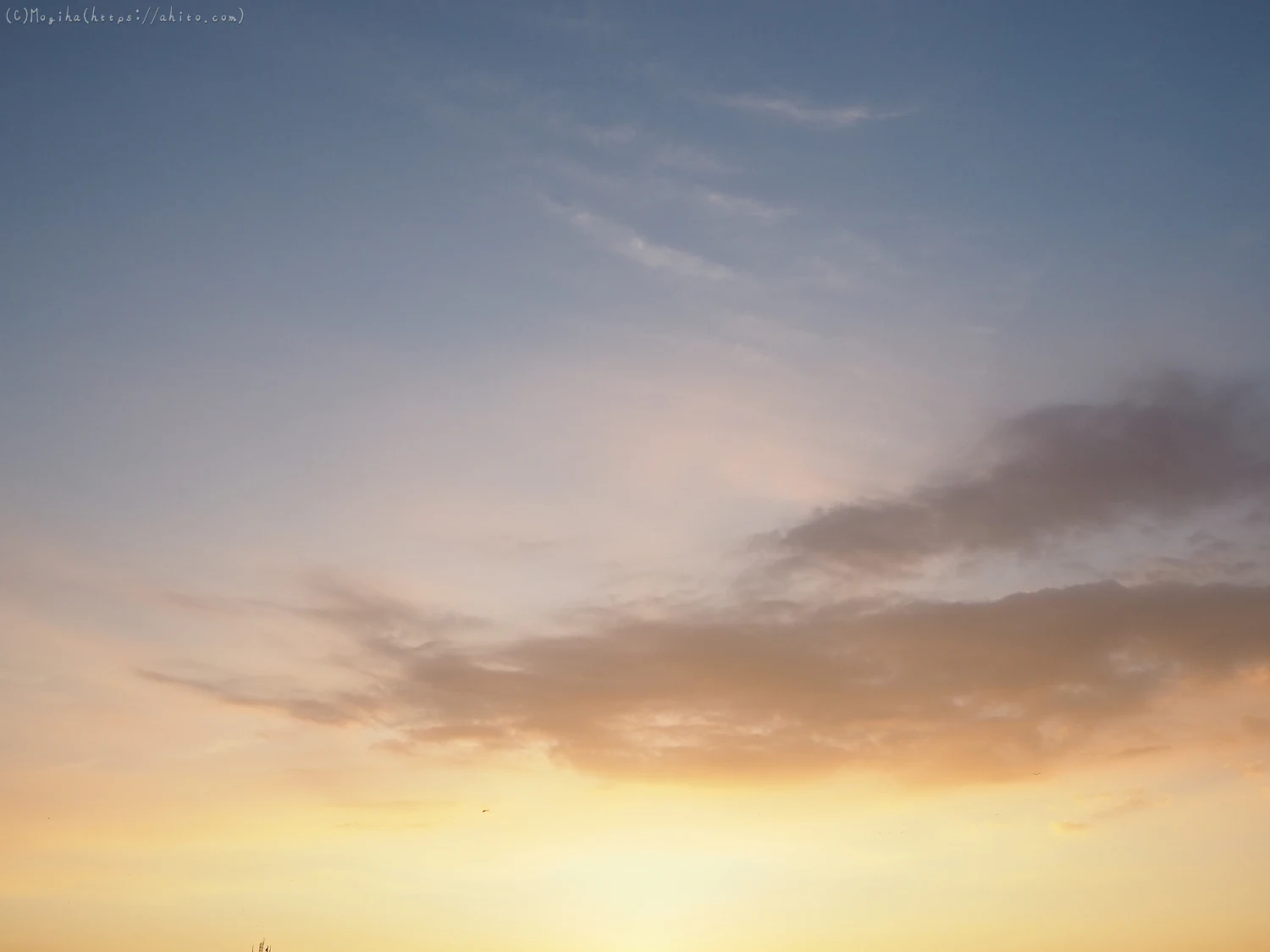 夏の空・２ - 06