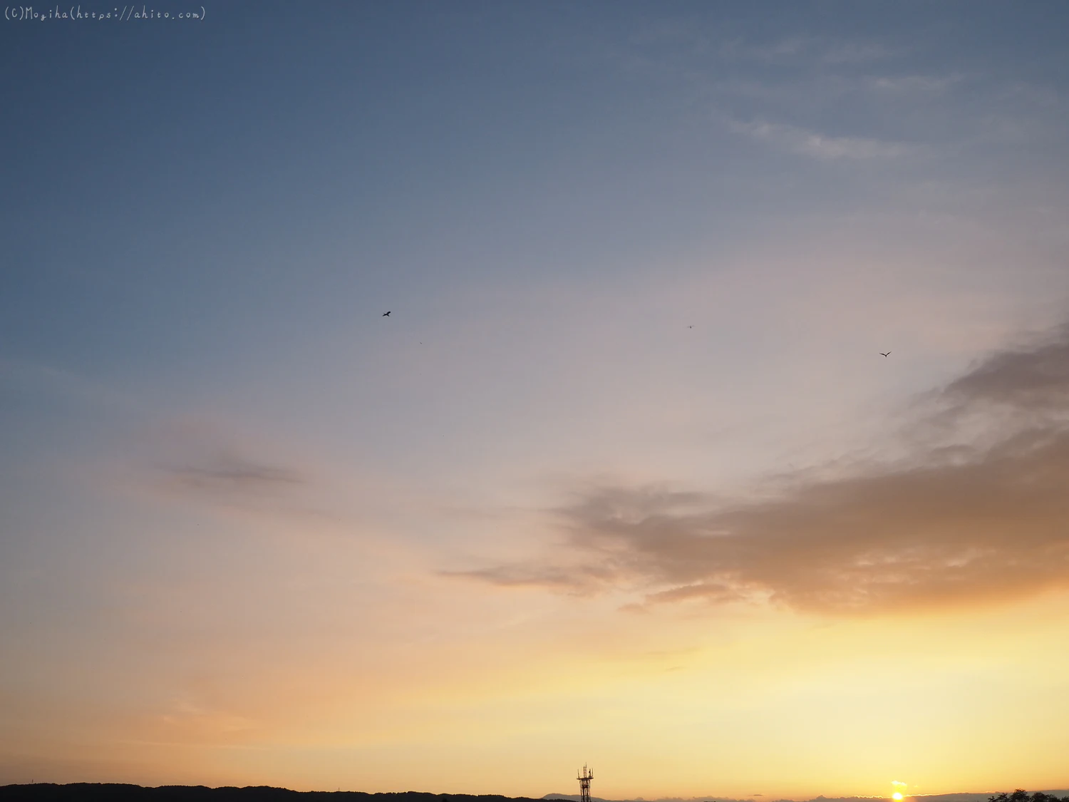 夏の空・２ - 09