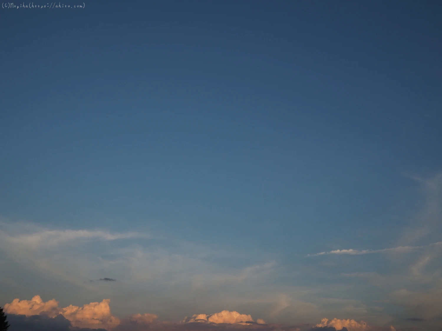 夏の空・２ - 12