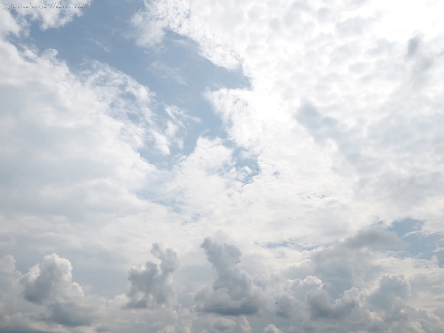 夏の空・３ - 01