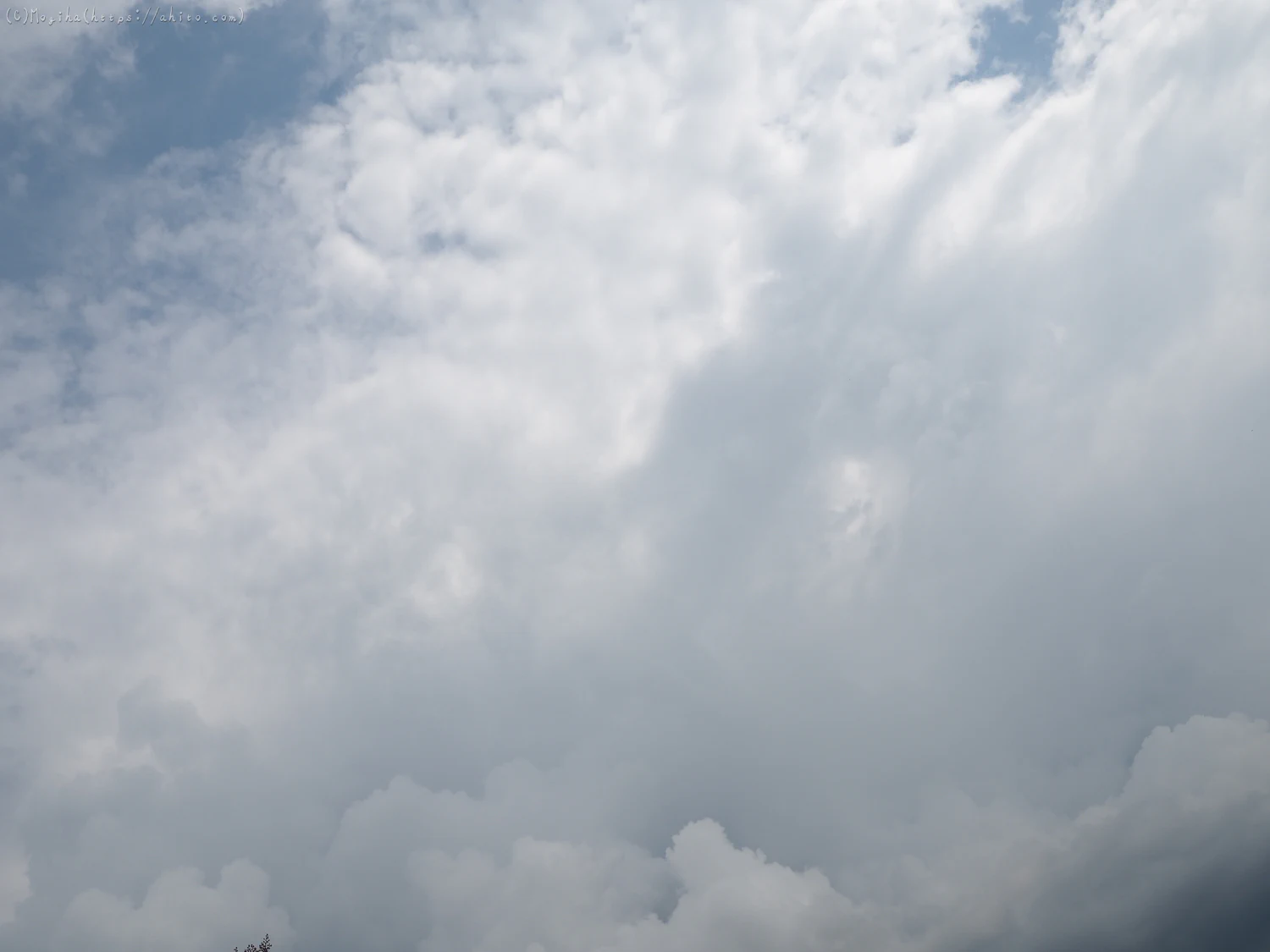 夏の空・３ - 07