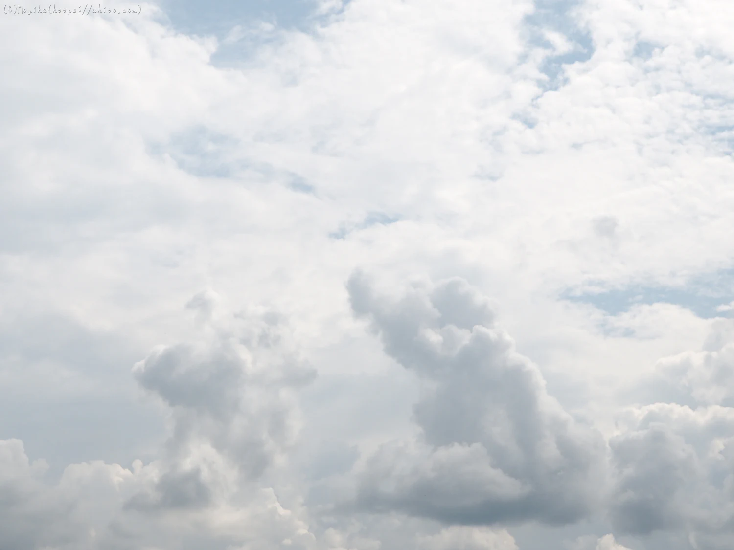 夏の空・３ - 08