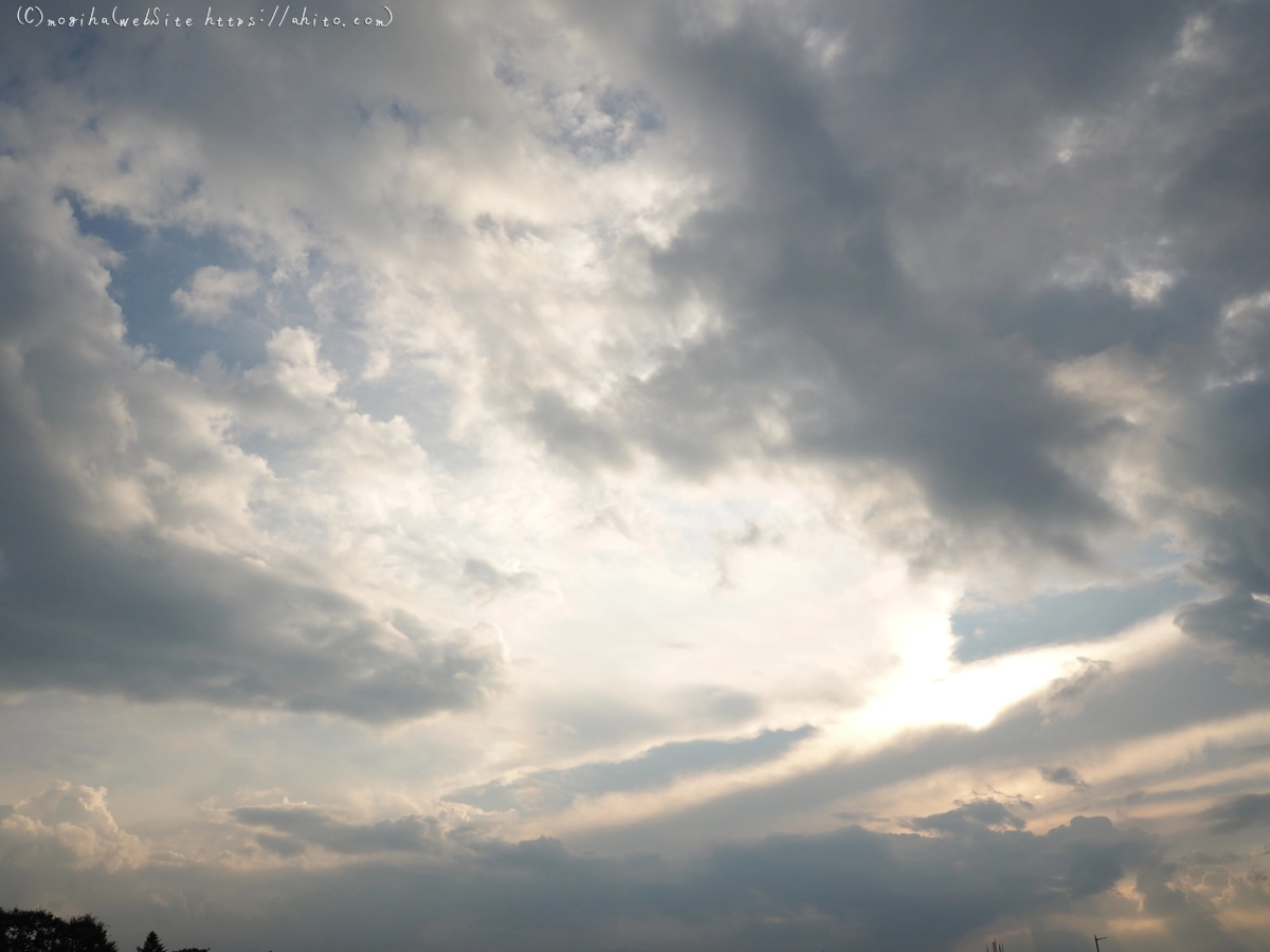 夏の空・５ - 05