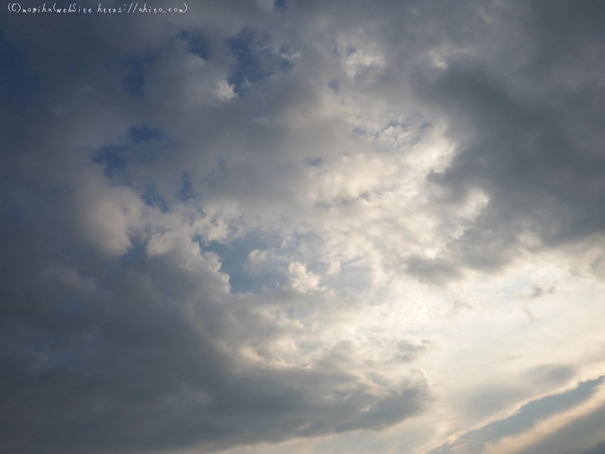 夏の空・５ - 06