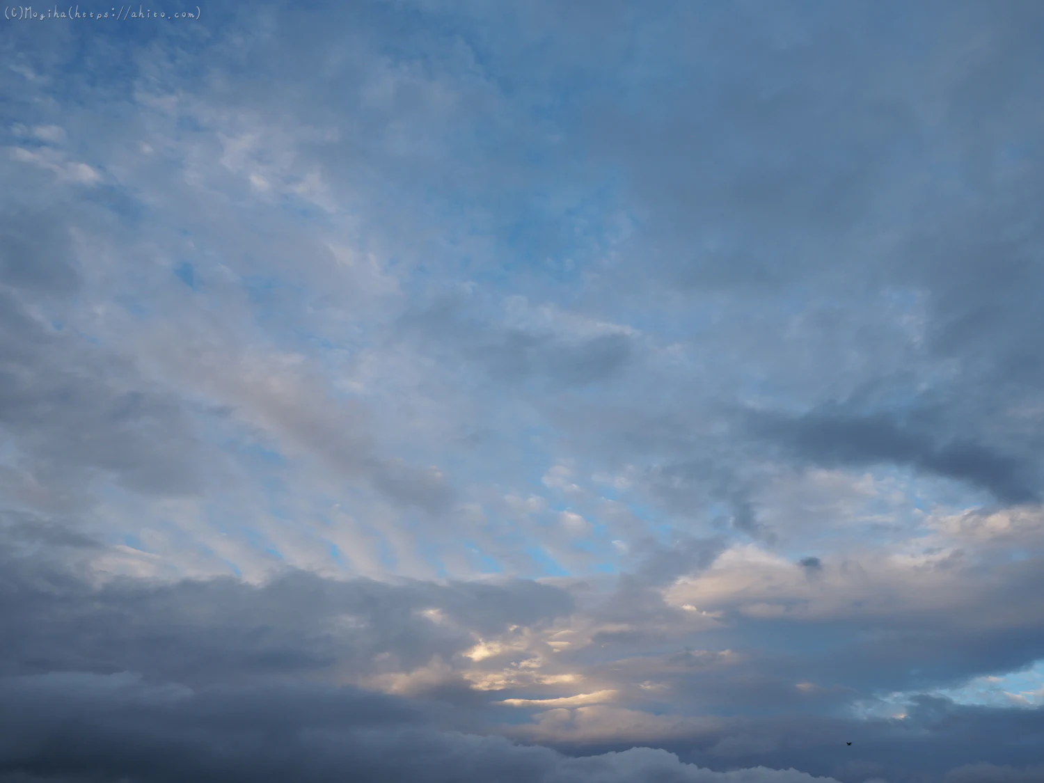 夏の空・６ - 02