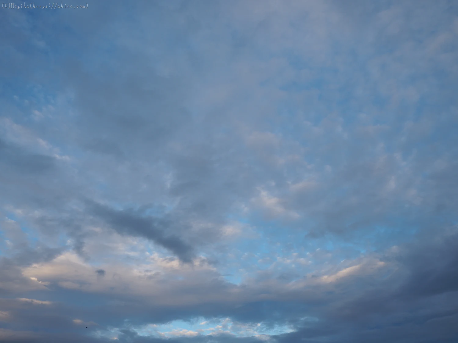 夏の空・６ - 04