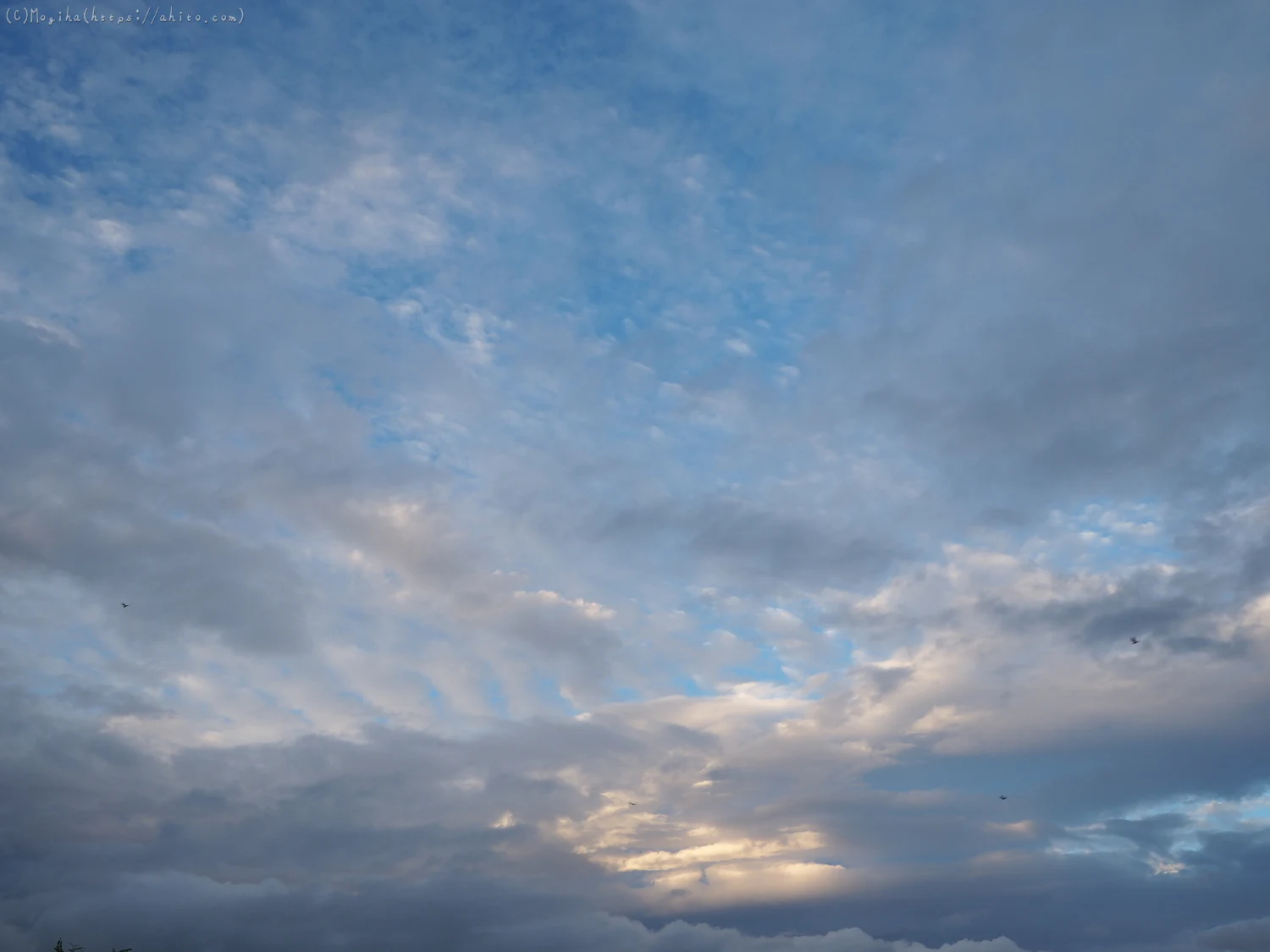 夏の空・６ - 09