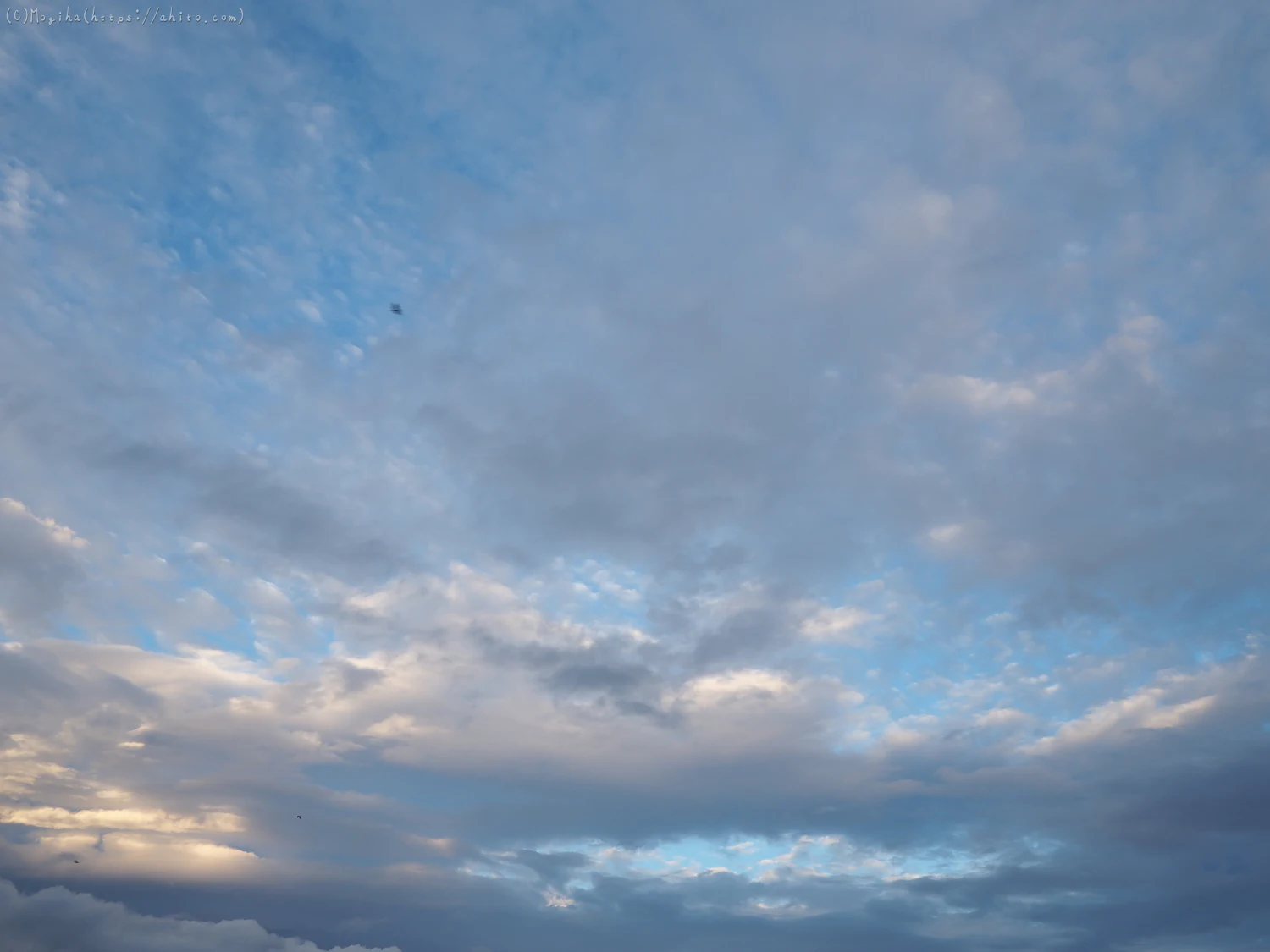 夏の空・６ - 10