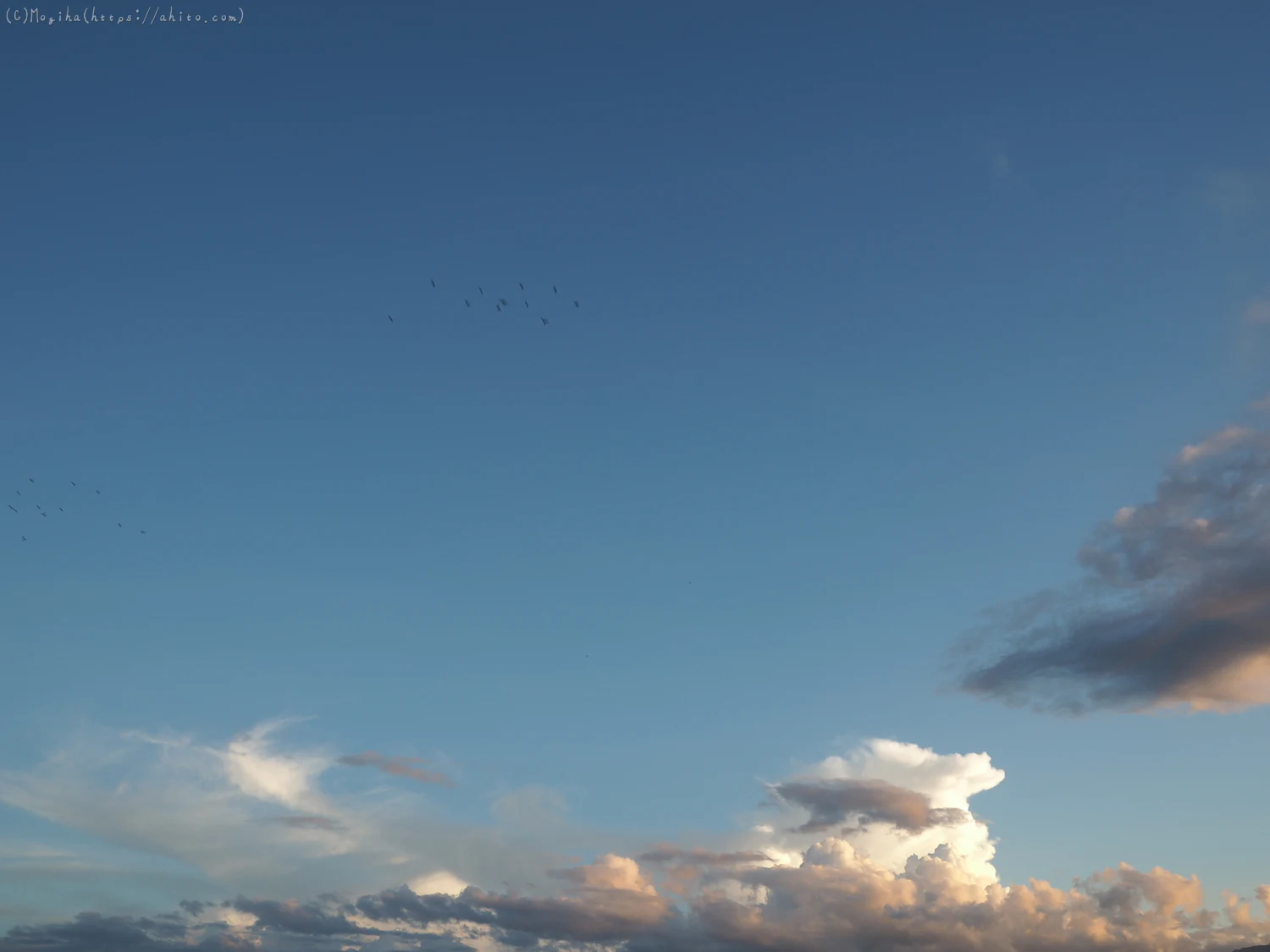 夏の空・７ - 05