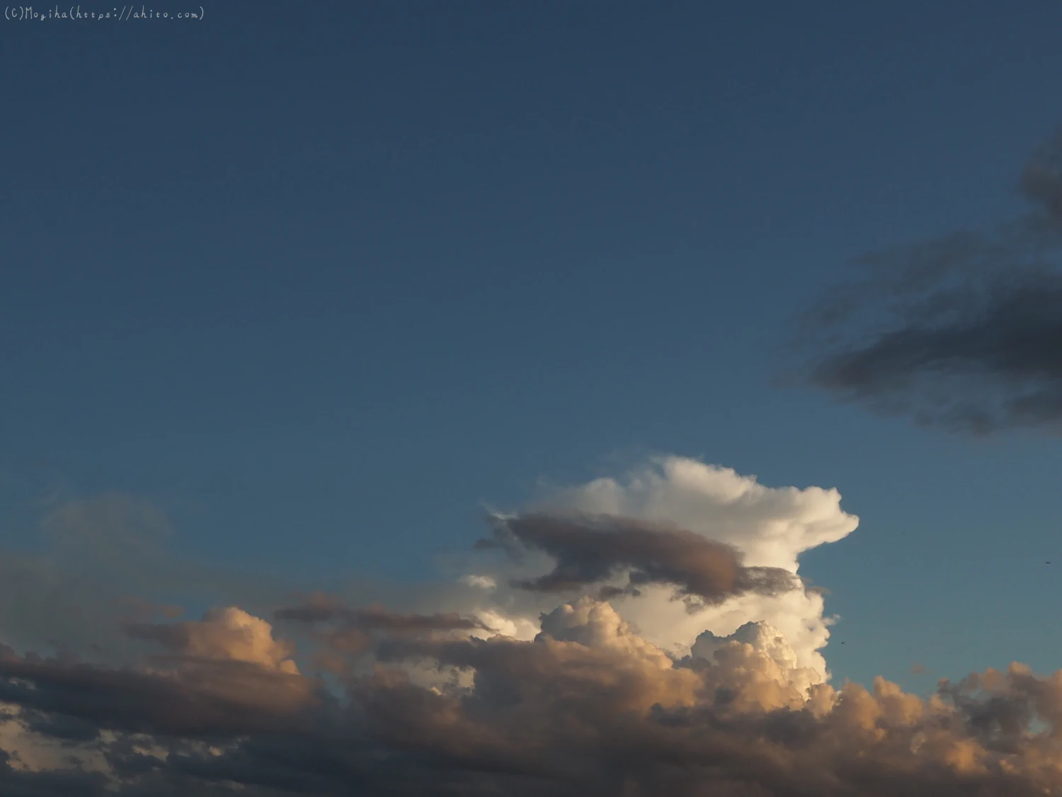 夏の空・７ - 09