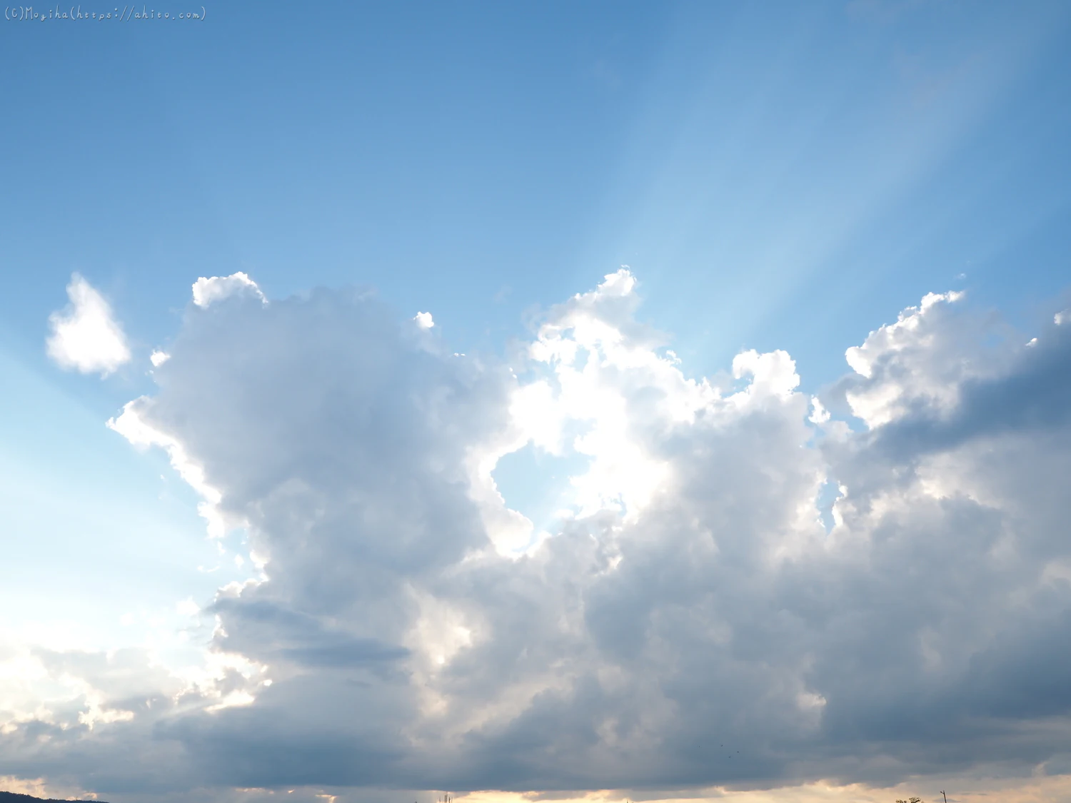 夏の空・８ - 01