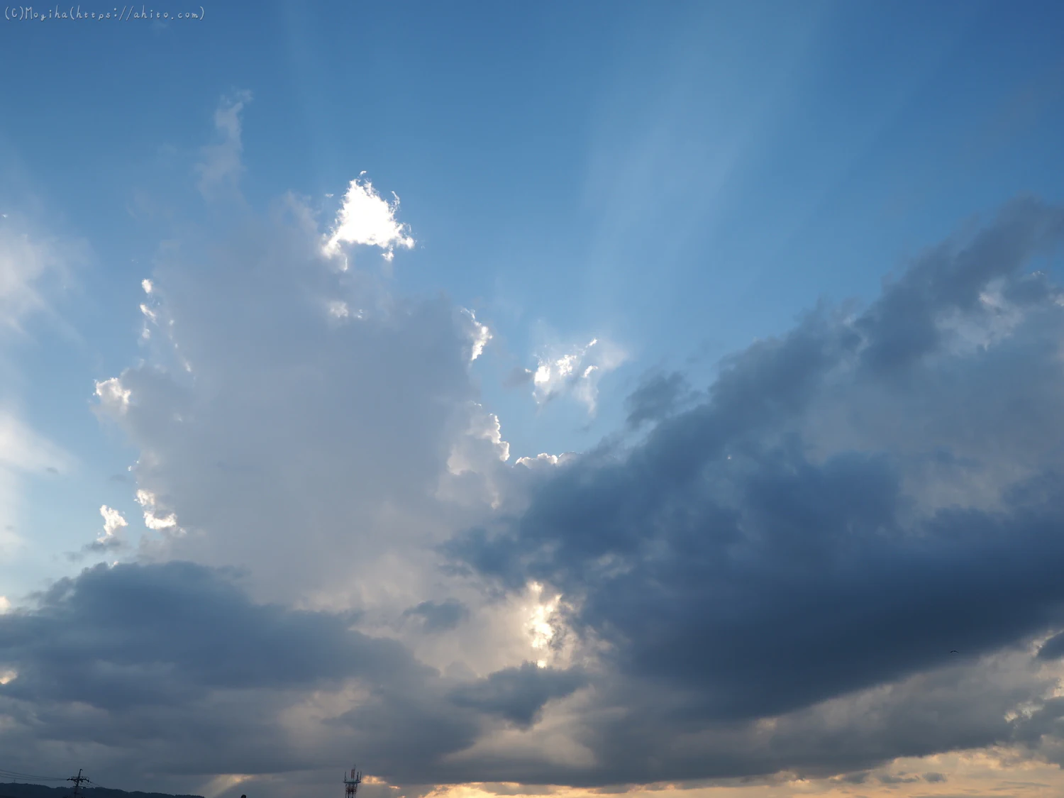 夏の空・８ - 15