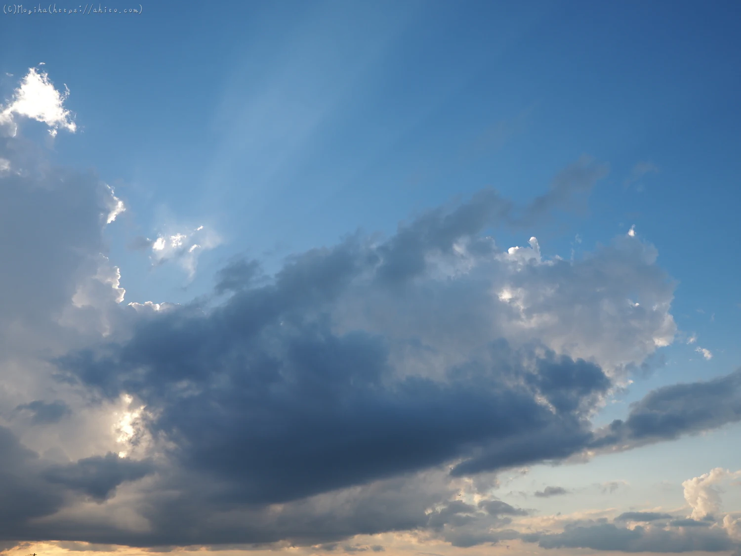 夏の空・８ - 16