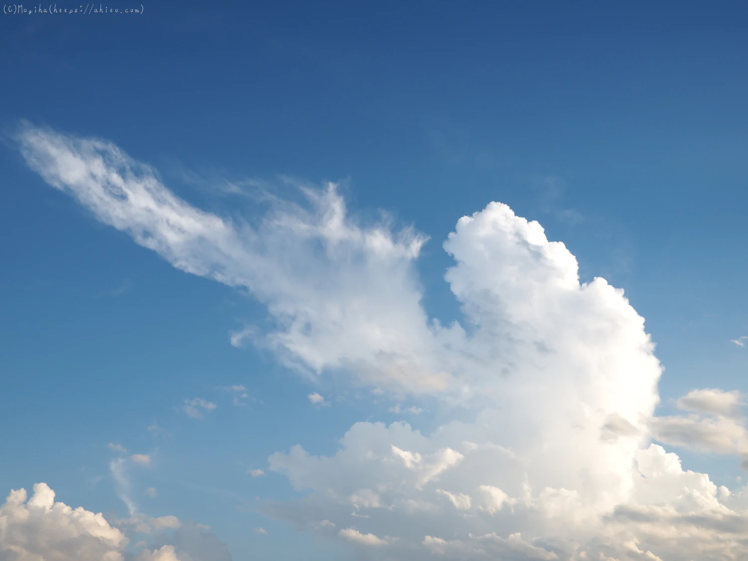 夏の空・８ - 19