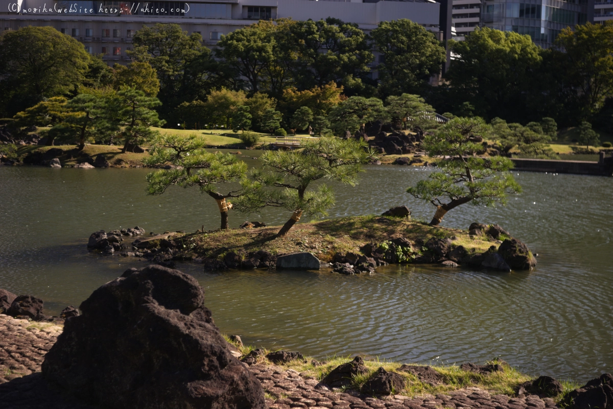 旧芝離宮恩賜庭園 - 19