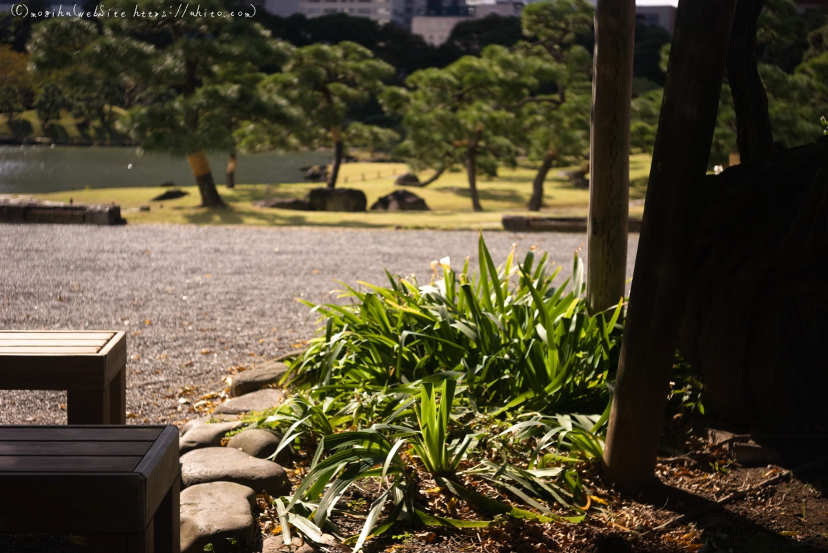 旧芝離宮恩賜庭園 - 24