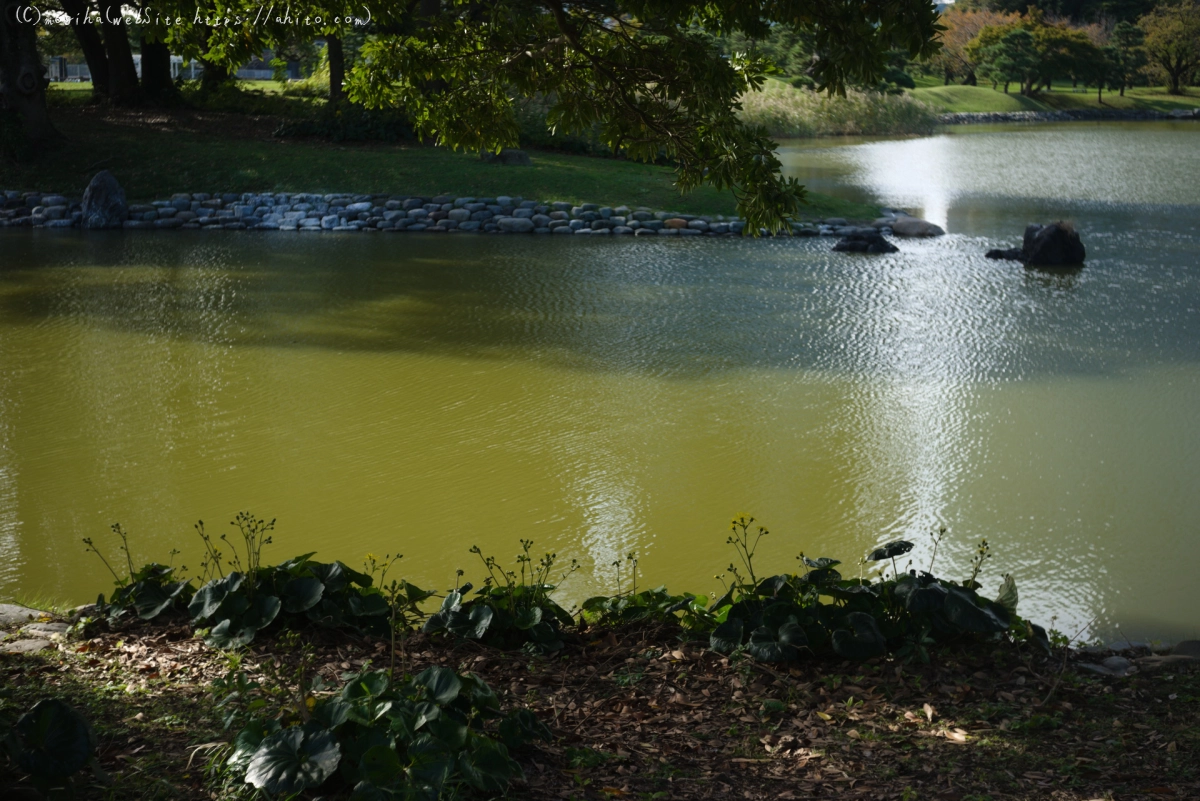 浜離宮恩賜庭園 - 15