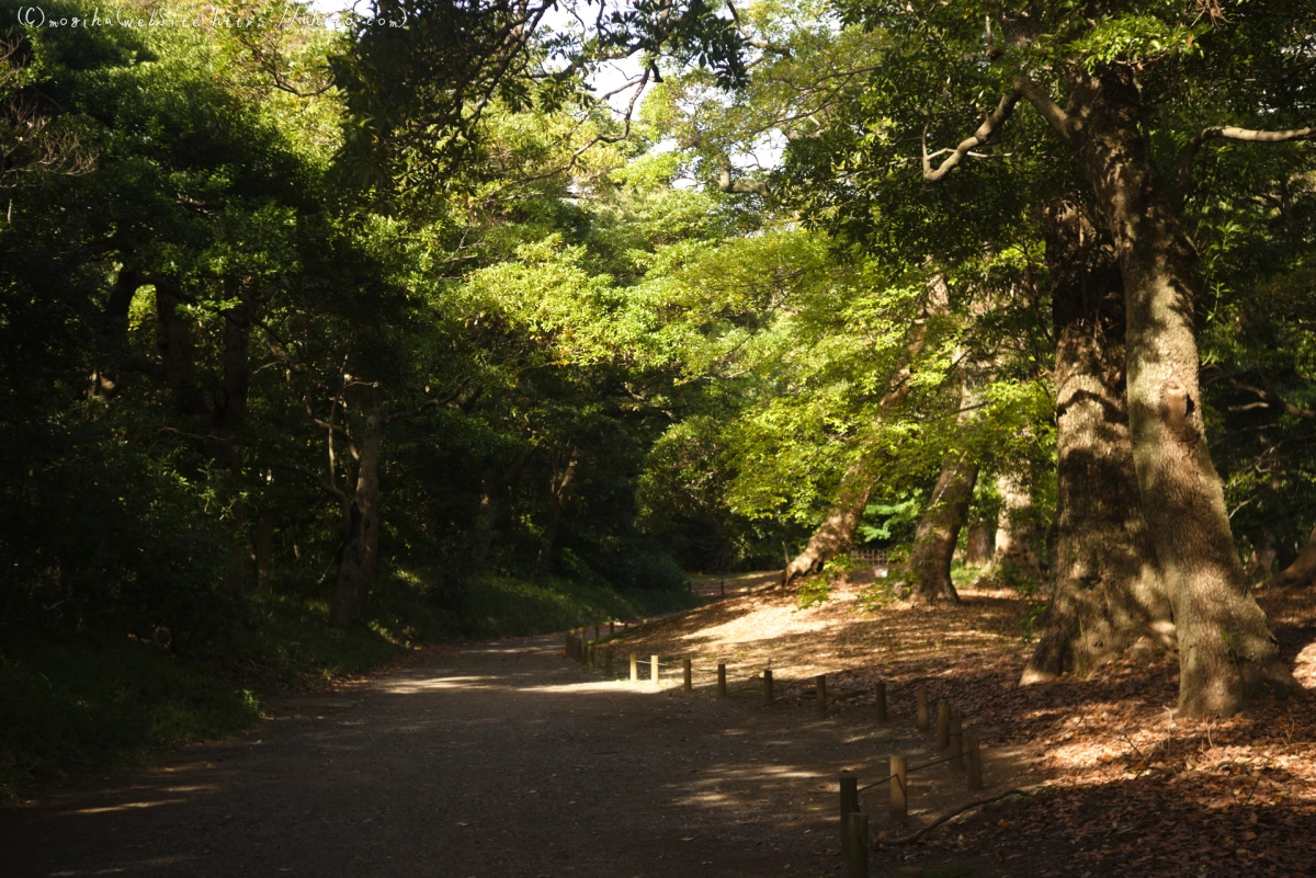 浜離宮恩賜庭園 - 22