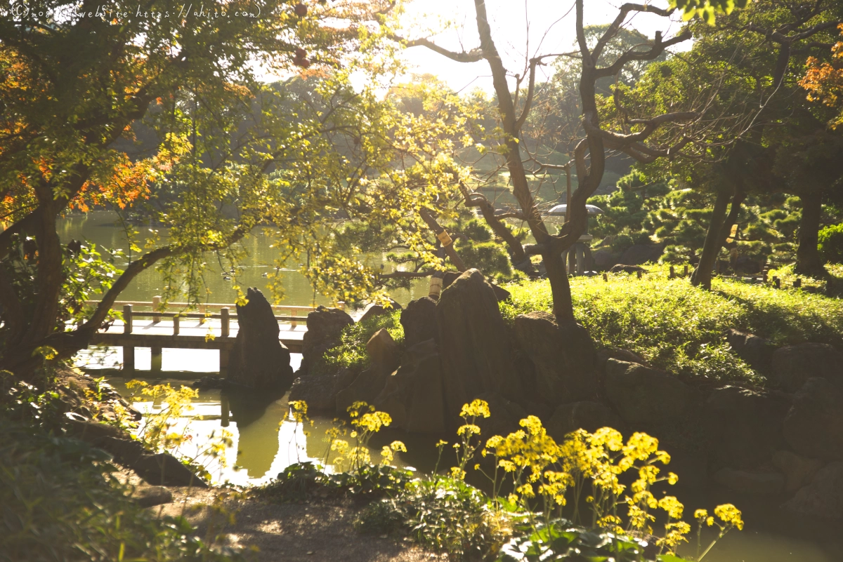 清澄庭園 - 01