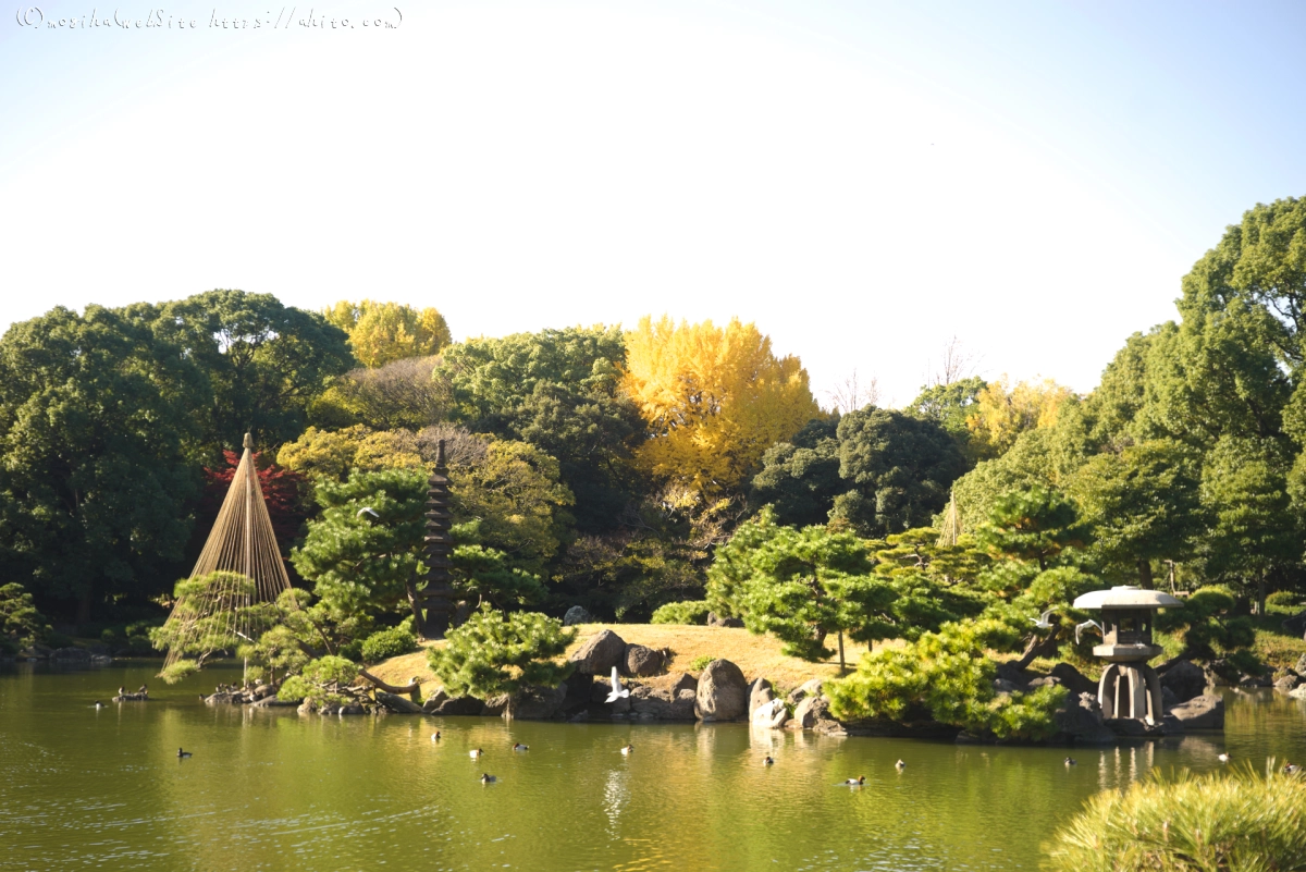 清澄庭園 - 24