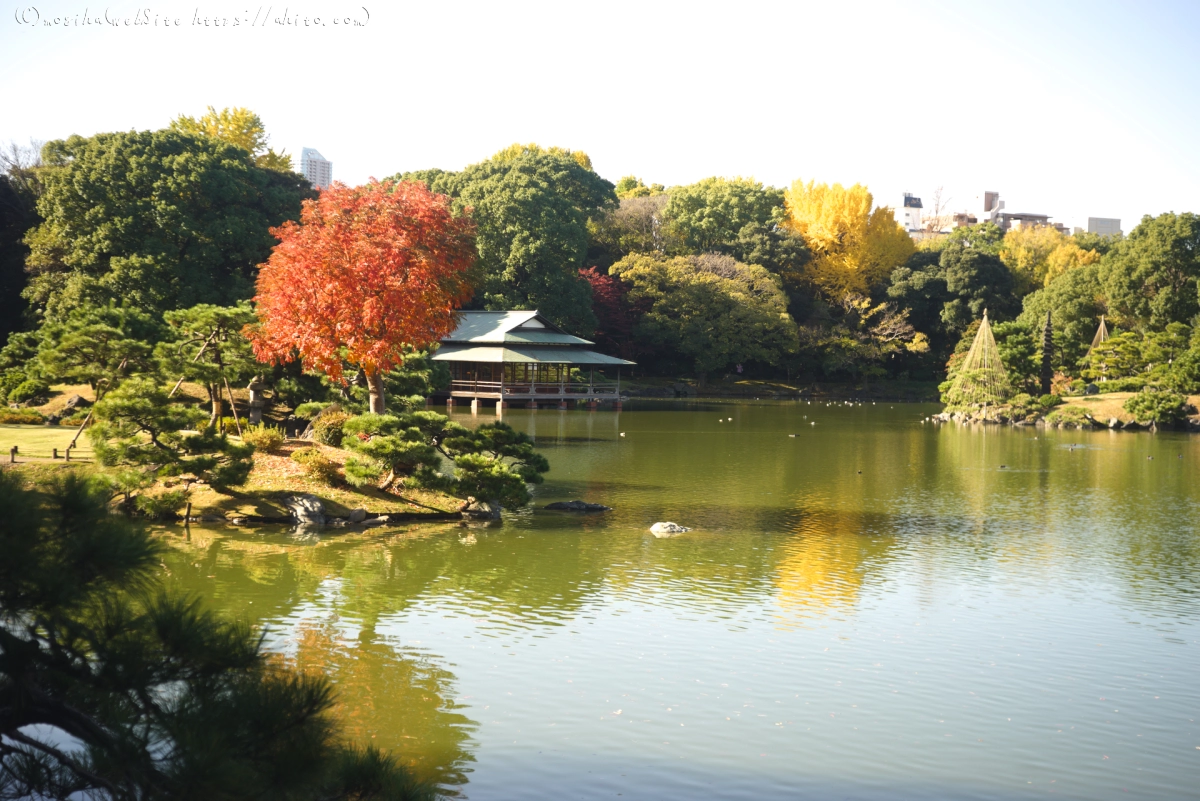 清澄庭園 - 28