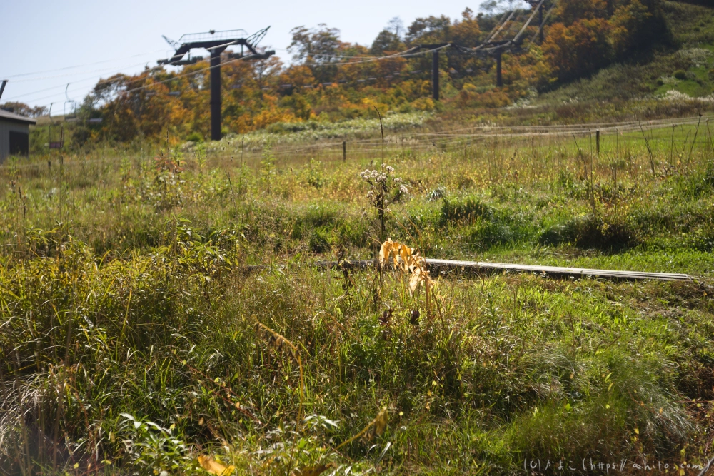 谷川岳とおにぎり山(2) - 17