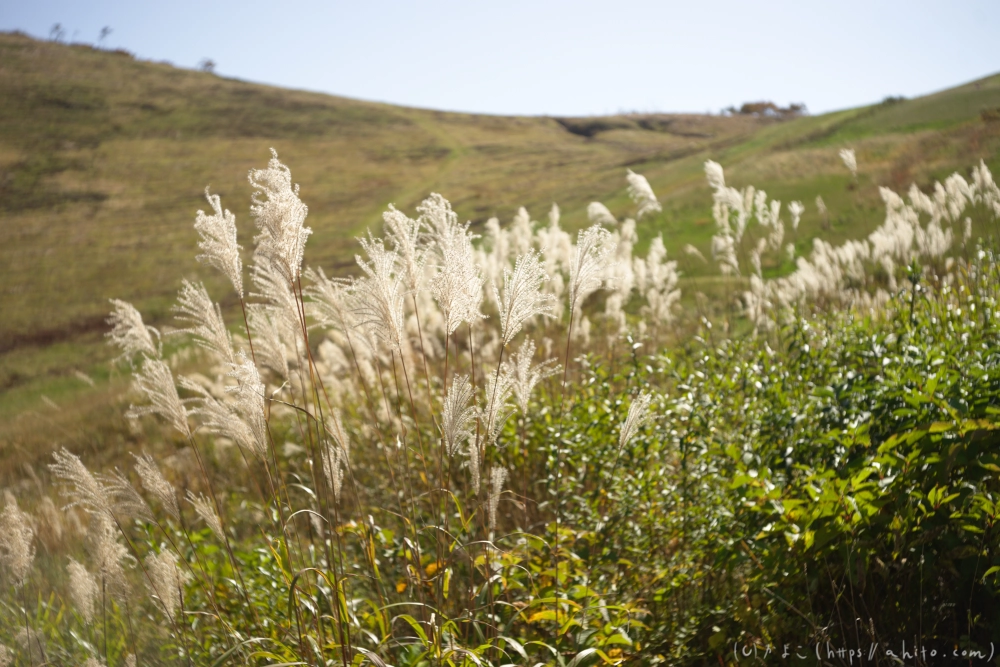 谷川岳とおにぎり山(2) - 19