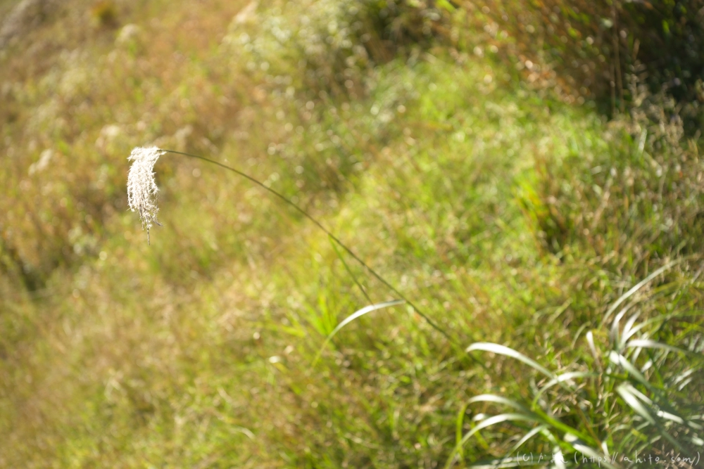 谷川岳とおにぎり山(2) - 24