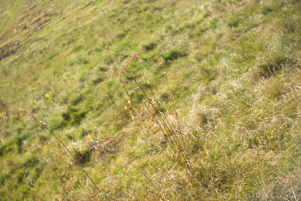 谷川岳とおにぎり山(2) - 29