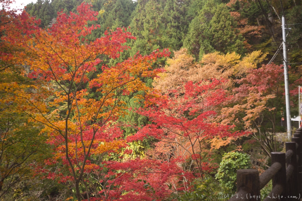 御岳山と紅葉１ - 04