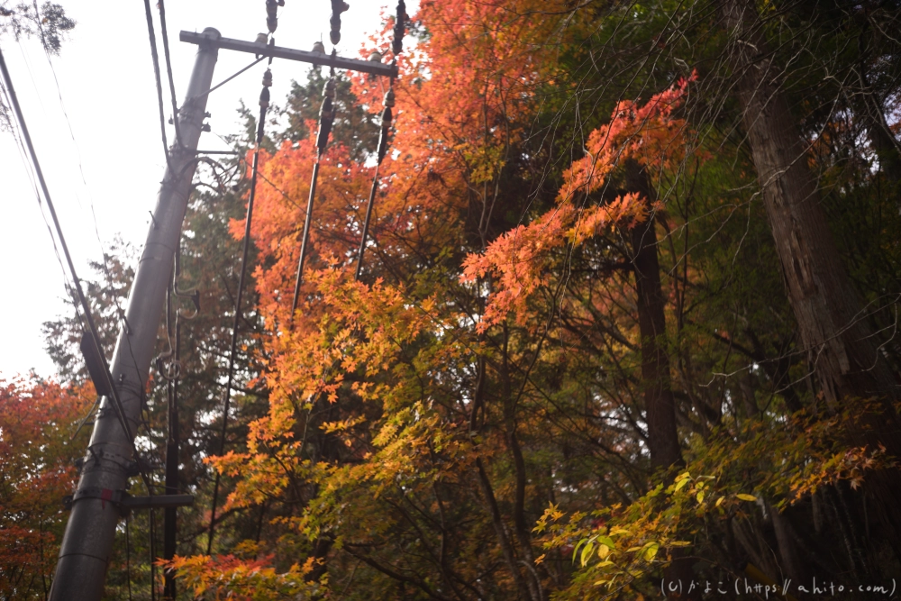 御岳山と紅葉１ - 20
