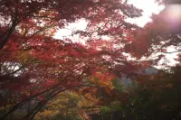 御岳山と紅葉１