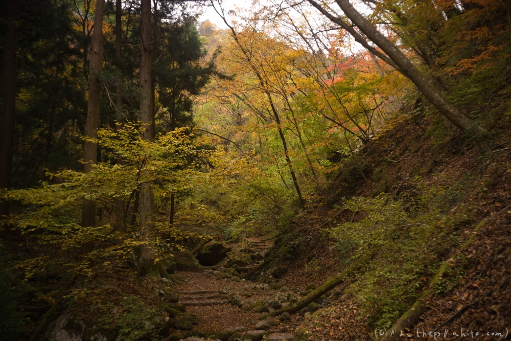 御岳山と紅葉２ - 02