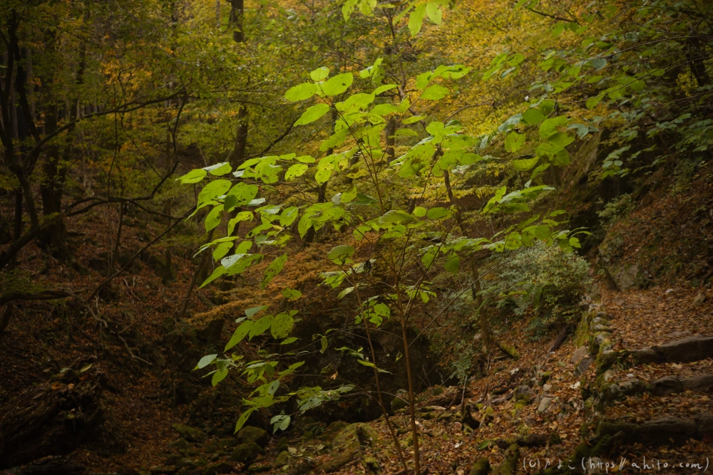 御岳山と紅葉２ - 03
