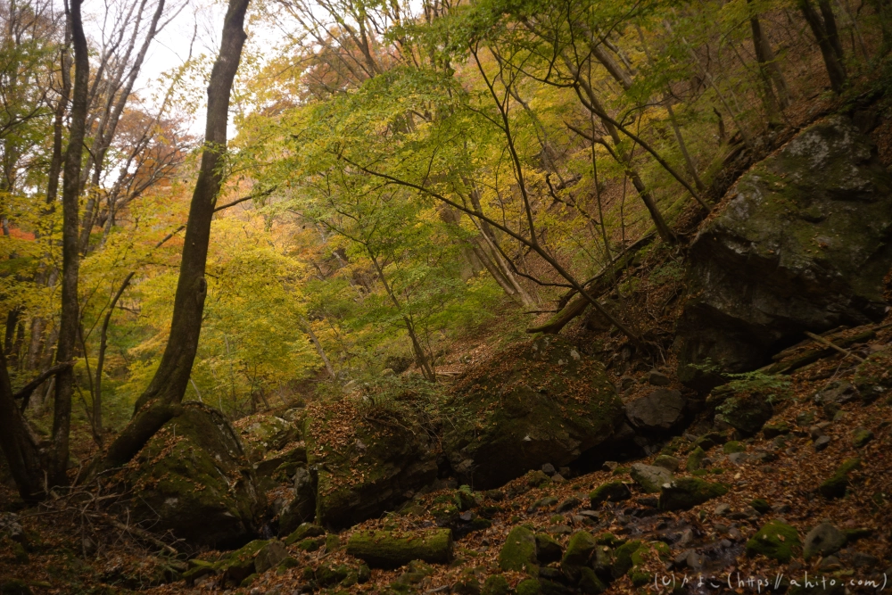 御岳山と紅葉２ - 05