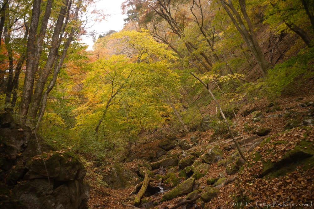 御岳山と紅葉２ - 06