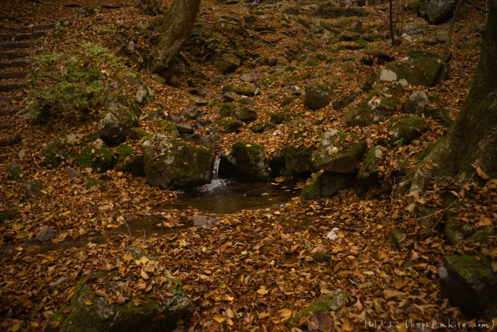 御岳山と紅葉２ - 08