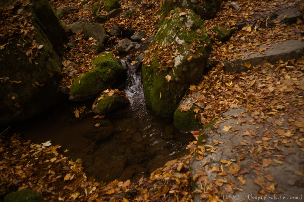 御岳山と紅葉２ - 09
