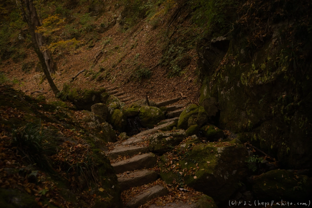 御岳山と紅葉２ - 10