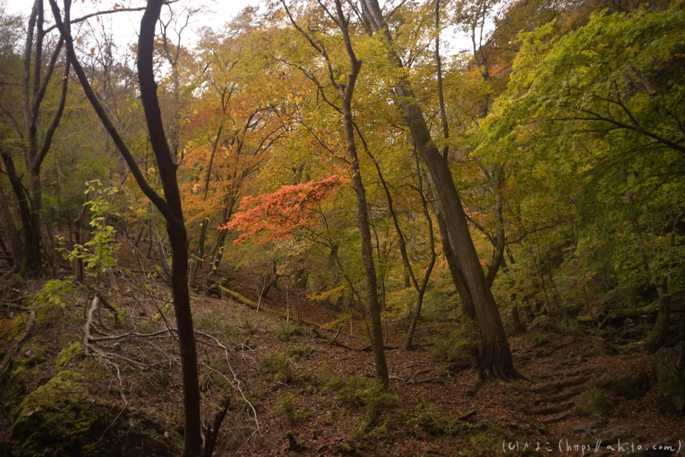 御岳山と紅葉２ - 13