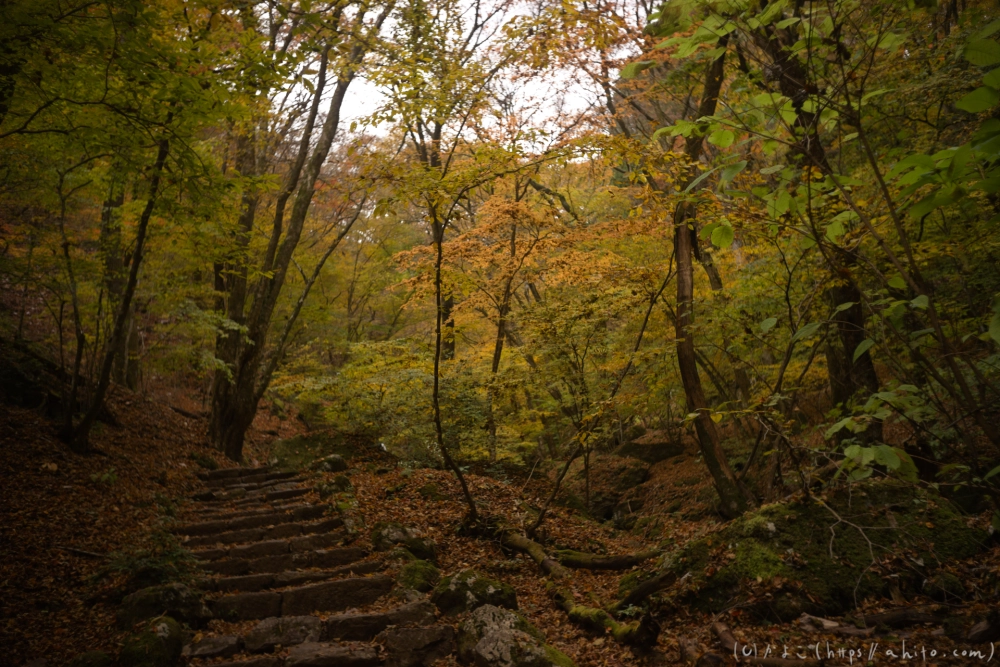 御岳山と紅葉２ - 14