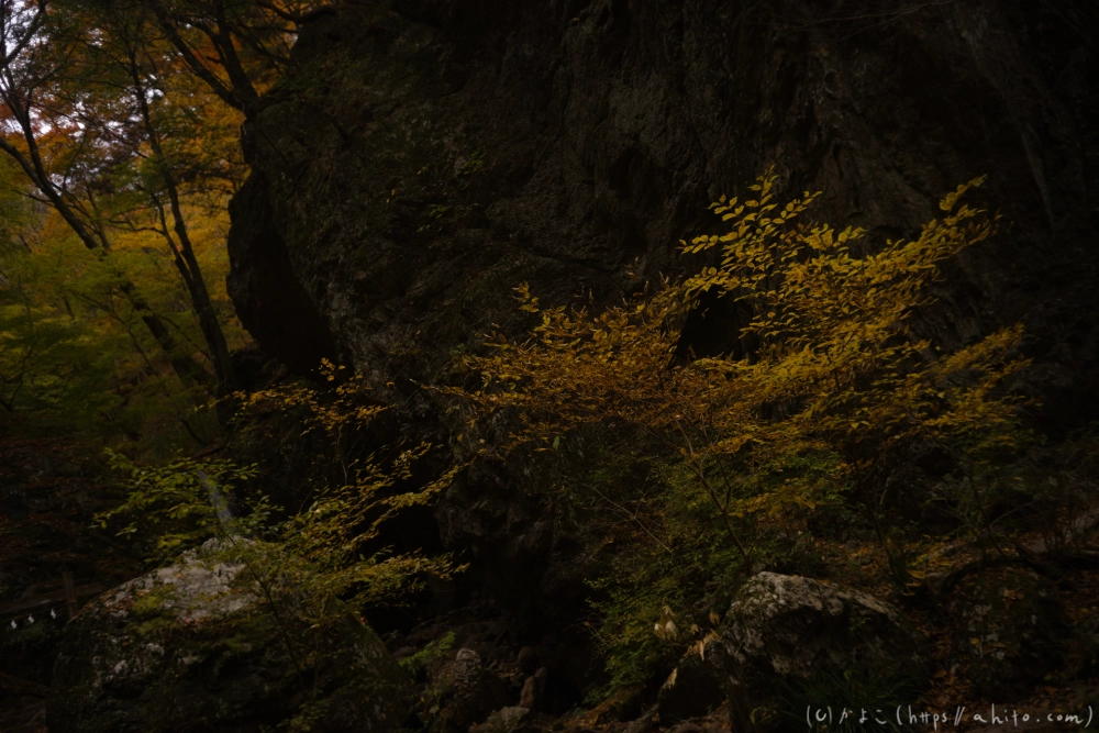 御岳山と紅葉２ - 19
