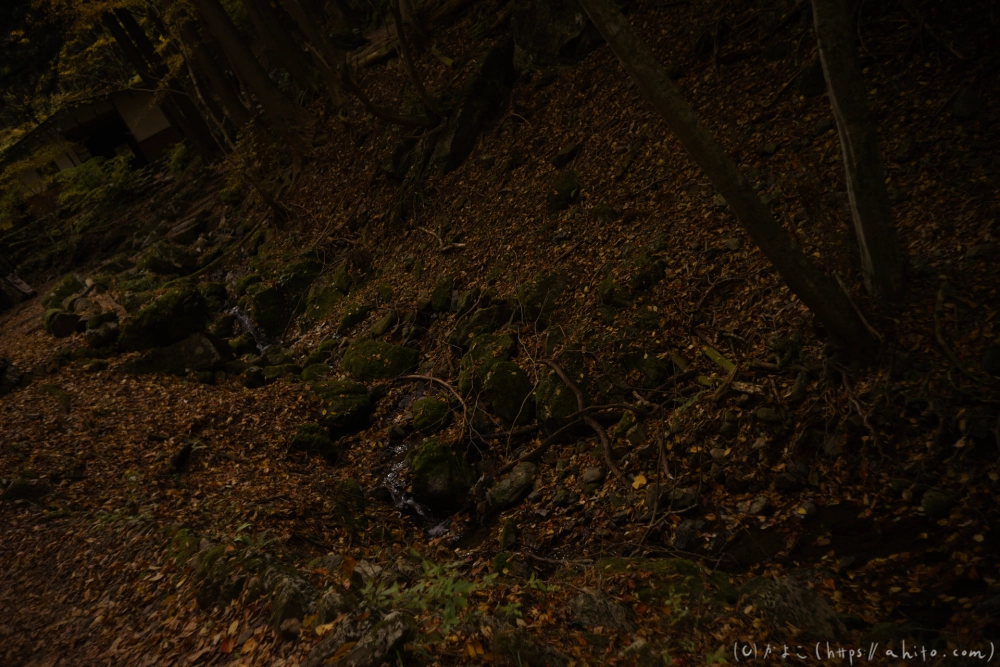 御岳山と紅葉２ - 24