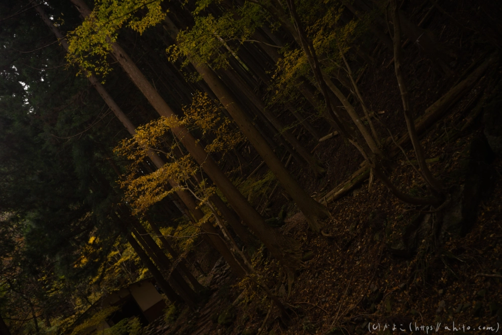 御岳山と紅葉２ - 25