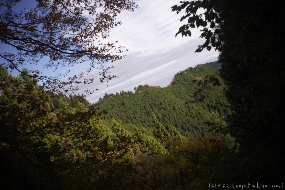 御岳山と紅葉２ - 45