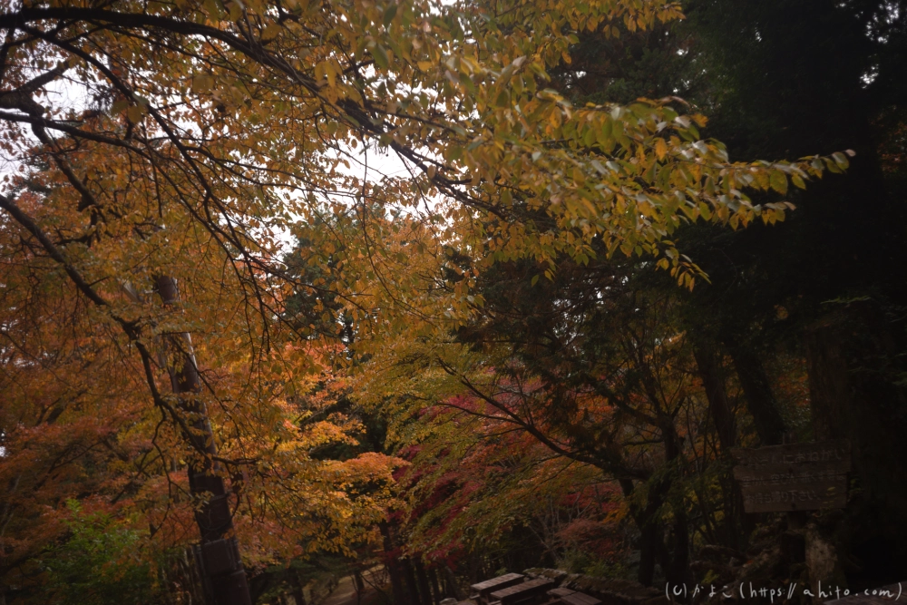 御岳山と紅葉２ - 52