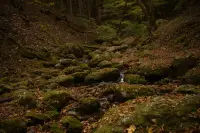 御岳山と紅葉２