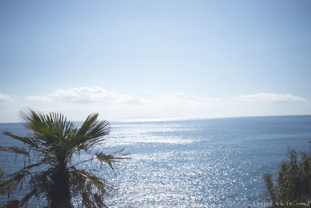吾妻山公園の花と海 - 25